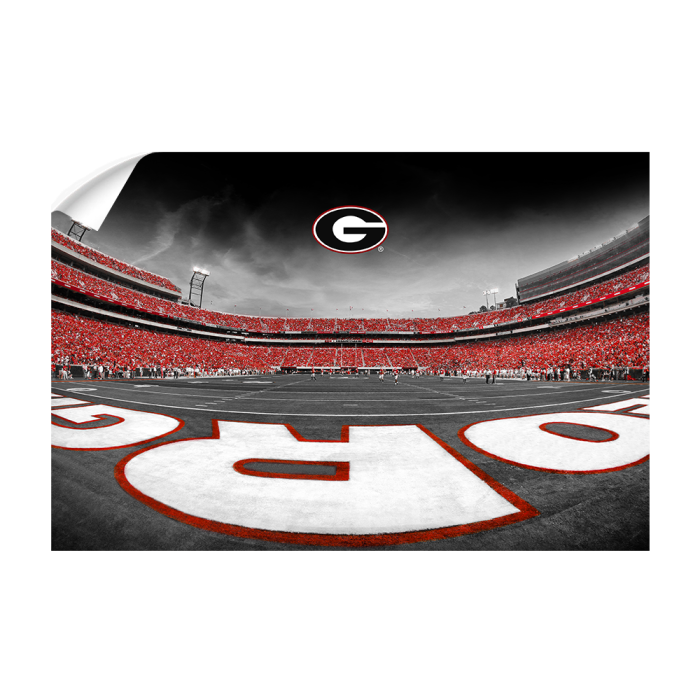 81ef57a3ec1a48a2399ae277ccb2f161.png