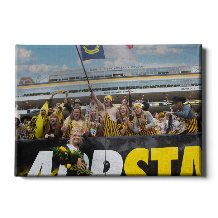 8959f3fc7596adfa98d2bd70e1286a9d.png