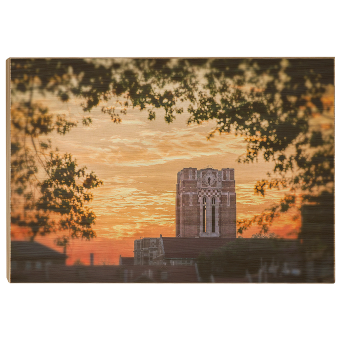8e531a7526b86d956d28161e41c7f792.png
