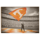 910a8e48257b237f698593dc28267a3d.png