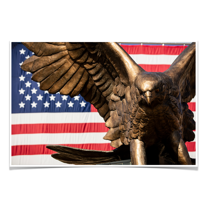 92f3e10c6d87b1c9870cb3675fd352c7.png