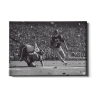 99eb0a051c4666547b48507dedeb32a6.png