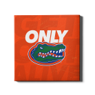 a46ab1425f4c87da383036ce3eb0c899.png