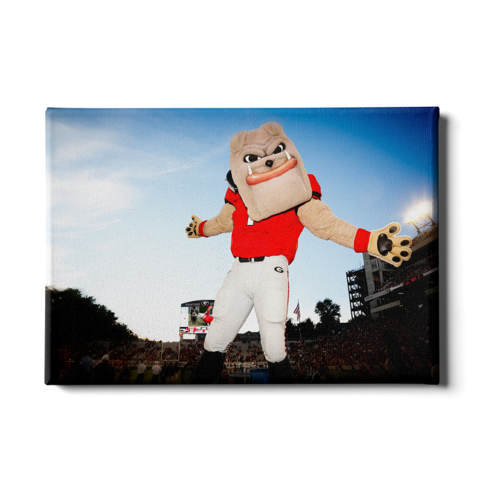 afc1e913a9c1c74aaedf431632974ba8.png