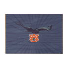 afcf930046620656df08ed227e5a0142.png