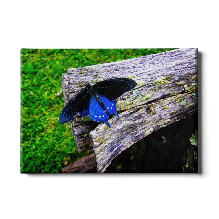 afe0893b313f6d8dcc9473c651d2be4c.png