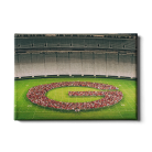 b80ccde21ecaed1dd352d5a2a5ee63b8.png