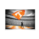 ba2b2c79364b70d6337f9c771300f968.png