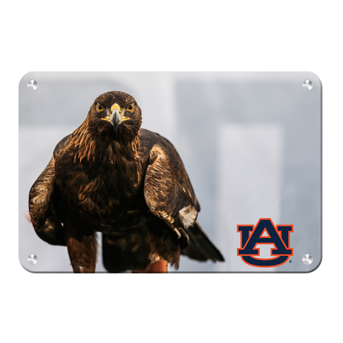 baa097ff6555719eefccba337981c235.png