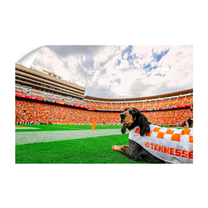 bc64ef2bf439f2df099b81369fee3c2d.png