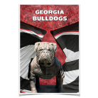 c15b4328332f52fd513fef27accfab19.png