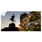 c5b359d873fc54647a0ff76bfc6cb6f1.png