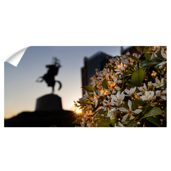 c5b359d873fc54647a0ff76bfc6cb6f1.png
