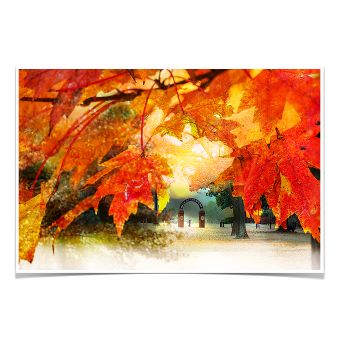 c6934fed38fa9b2f9a7cfd0d27bac1db.png