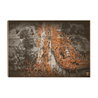 c72f9644b23911db9b04bbcec2edd735.png