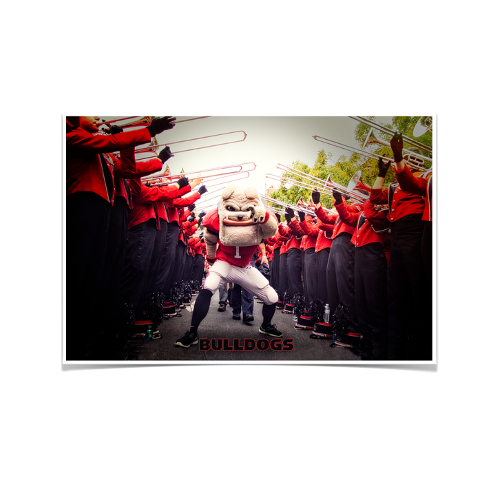 c835e2bcad73650c63c63e4bbadd85c1.png