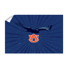 c9c25ffcb4d52a2fffd283b28a637fa9.png
