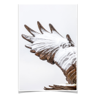 cff5a56deca2593fda2e9cbea0761990.png