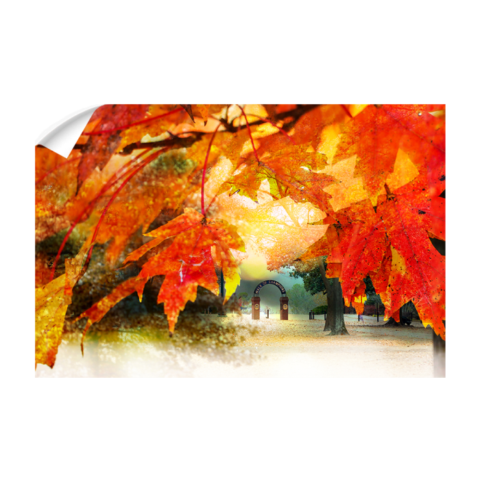 d448048924d0933cc6407baee1b55e65.png