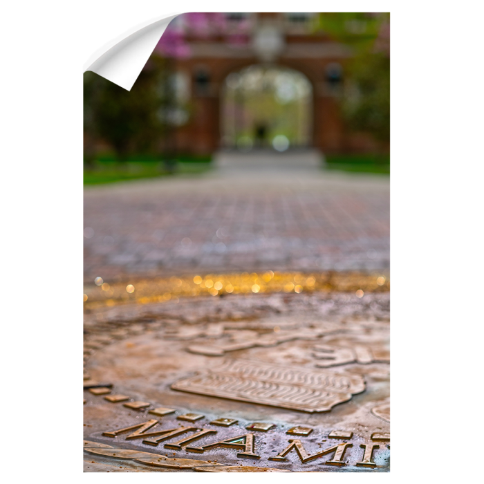 dfc4286800f169d06a1d3a475a916839.png