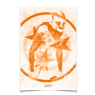e1ce8a44fe8eb7ecf7c83f77c4806c01.png