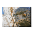 ec9b3b8f8bc28e3afc67966ec8e5d460.png