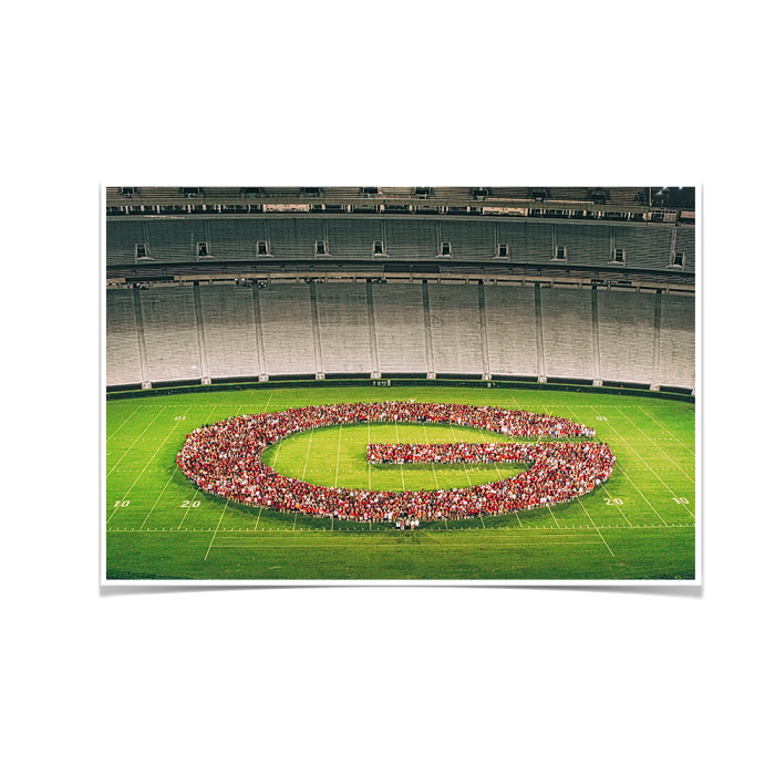 ed63d5a221bf20505cb378138b91553a.png