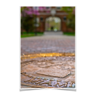 f1b04a65c40064d199b8e2828cb06006.png