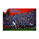 f3603b40228048947ba9600dfe175c3b.png