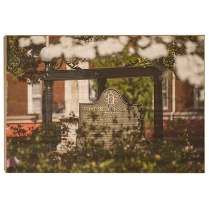 f5415390d428ae0213b13d837bf28f03.png