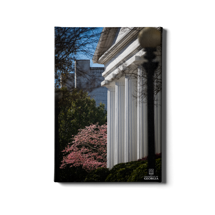 feeb91cb654bc68cc17d315647e17ceb.png