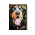 04410531f1000d6bc14dac4ce3ab8212.png