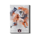 06edec31617f904454f2b6631b928a3a.png