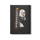 0eb5da0c628f7702996bcdc8f913b794.png