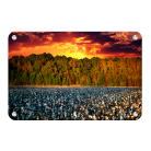 27f8526549e81043c2c97befce62164c.png