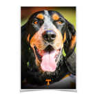 33e119ae9dd7a82921c36fab90f66eb3.png