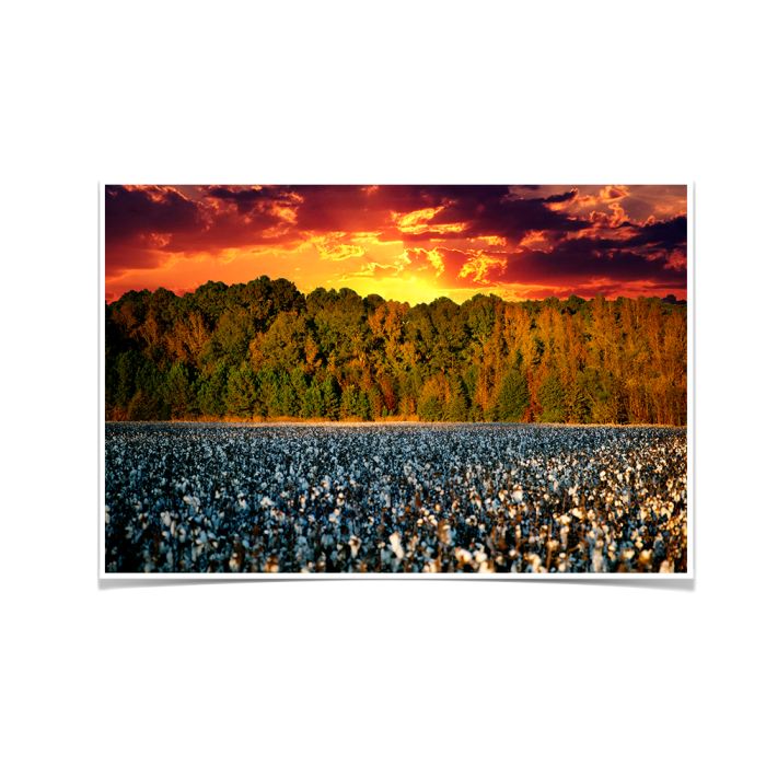 526b2c90a2d73151f2f69b5d5181b87a.png