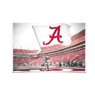59d7a1908dee6fa8ba05f81b6e2d417d.png