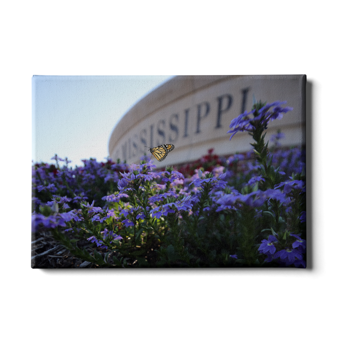 60f1878ddd6f2aacc4ea95a673ae441a.png