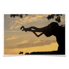 6853f39122af4a6e53017a67bf38153e.png