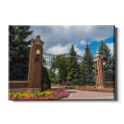 6a01eca52cfda6981b53d9b967f107e0.png