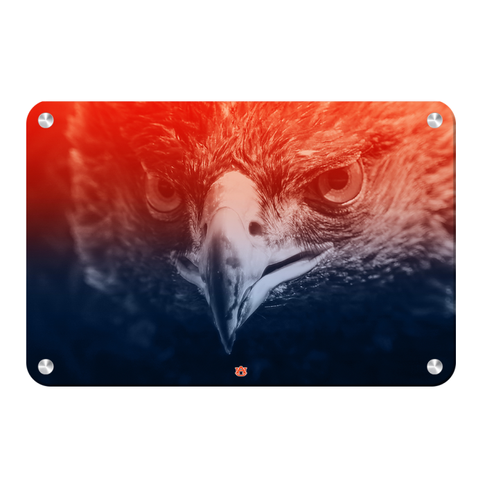 6bfc632df80b9f5dc7b28d984068277c.png
