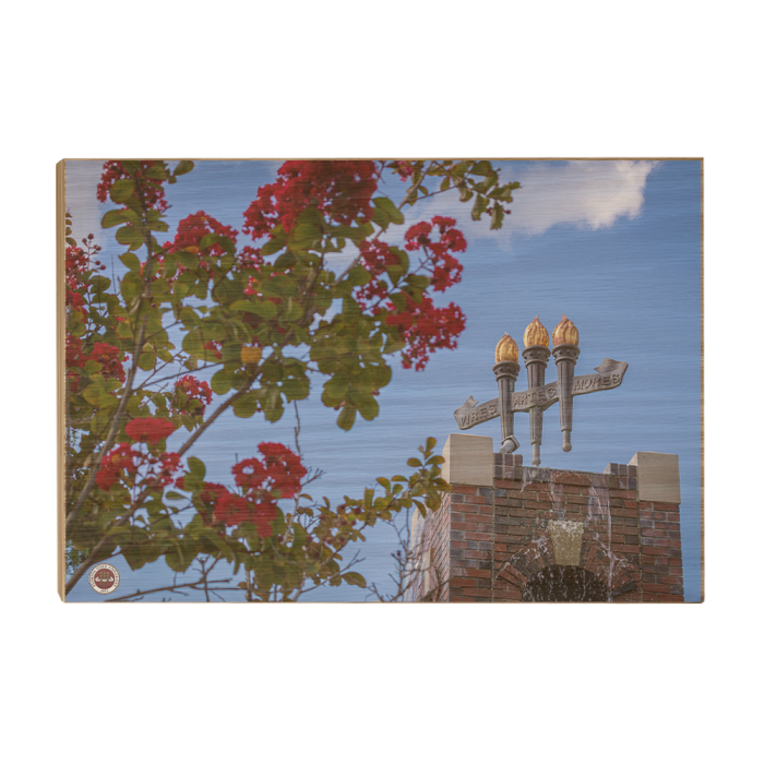 72685b38479f8b5ccc38a1e02f531748.png
