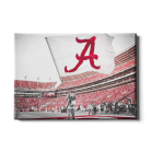 7d17032bfd8a1a5c0e892ee14fa0efca.png