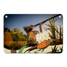 808cfdae128827dcedfc1eb14b91a9a7.png