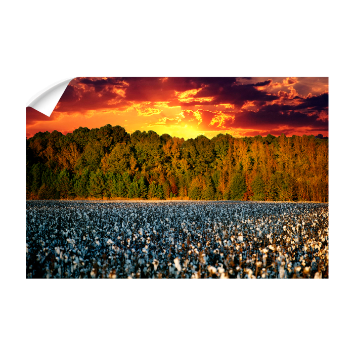 8711590ae46dad7d90a04919d3ad806b.png