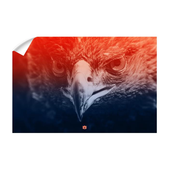 873056c0a0fdbcdfe35d3e9f7e10b95c.png