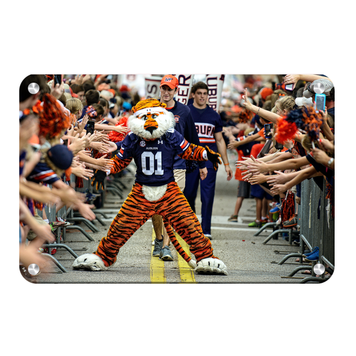 a294650eb256ed5596bcabae24573699.png