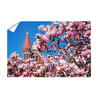 ac8466b671d6c7166468ba0368a37e86.png
