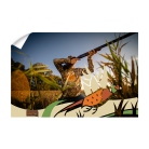 c5ae02c3ea6904cfe892d4d27a53652c.png